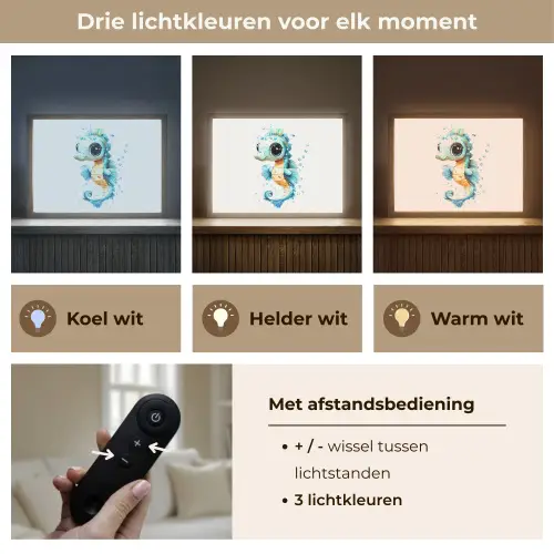 Zeepaardje - Spetters - Blauw Light Box met batterij (Wandlamp kind) middel -USP_lichtkleurNL