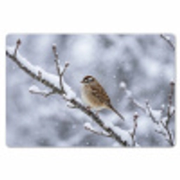 Vogel - Tak - Sneeuw - Winter Placemat vinyl groot -zzsfeer1_Kitchenyeah-website