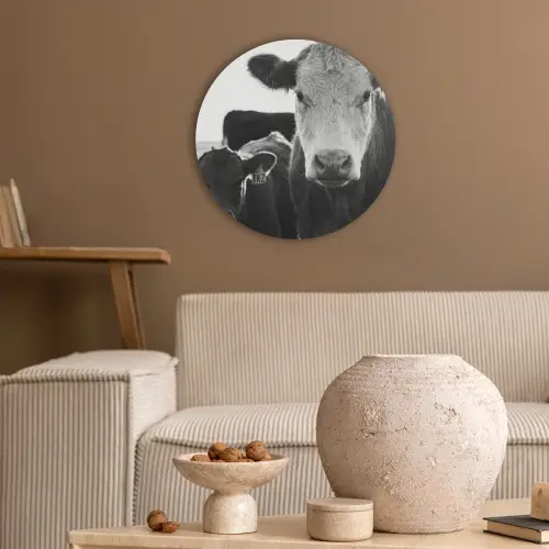 Koeien - Zwart - Wit Akoestische PET Vilt - Rond klein -sfeer1
