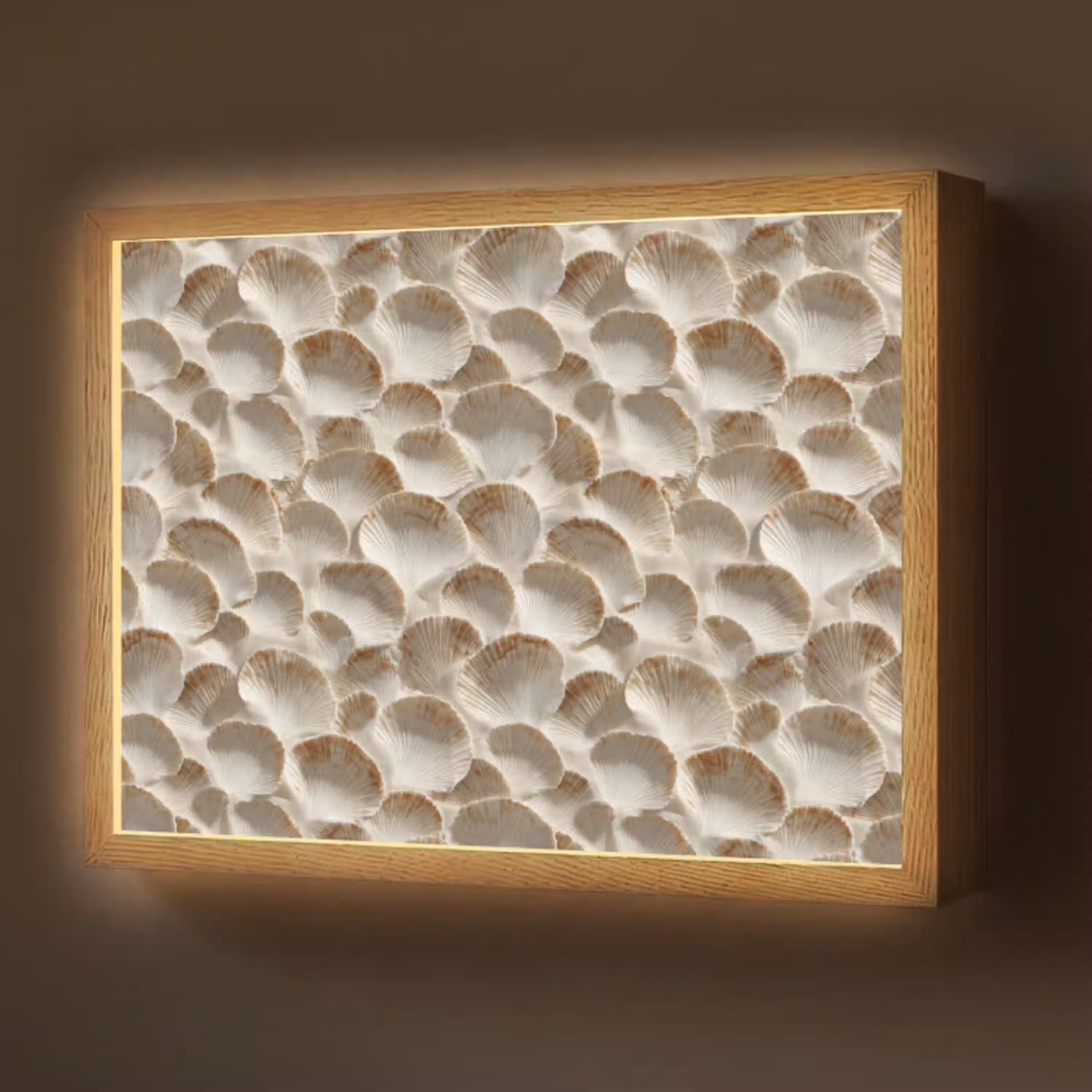Schelpen - Waaiervorm - Wit Light Box met batterij (Wandlamp) middel 907 -z3d_website