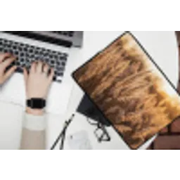 Rietpluimen - Gras - Zonsondergang - Goud - Serene laptophoes neopreen klein -bureau