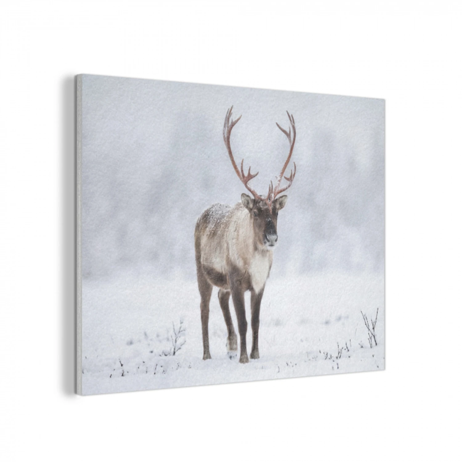 Rendier - Gewei - Toendra - Sneeuw - Wild PET vilt klein -3d