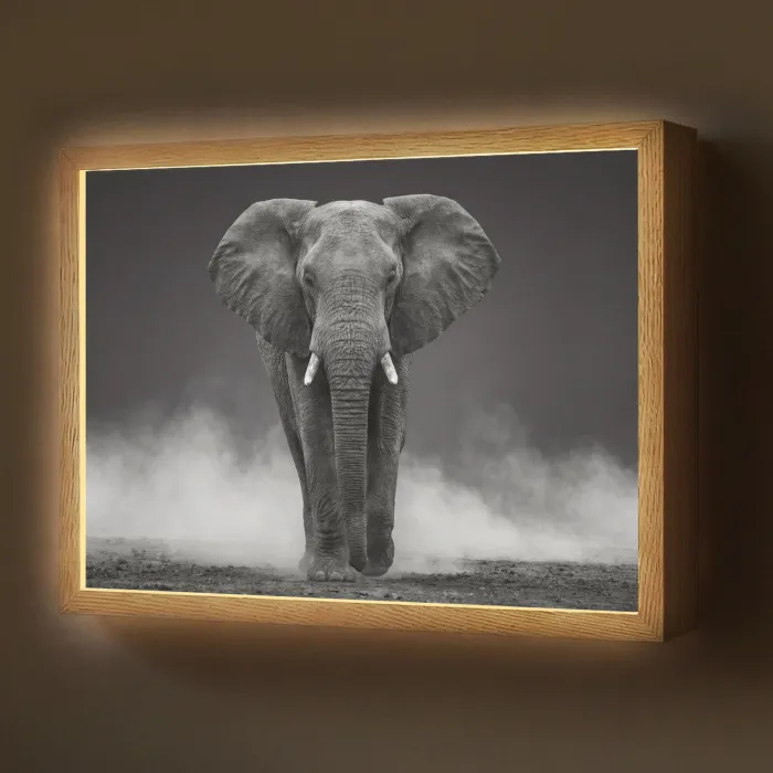 Olifant - Zwart - Wit - Rook Light Box met batterij (Wandlamp) middel -z3d_website