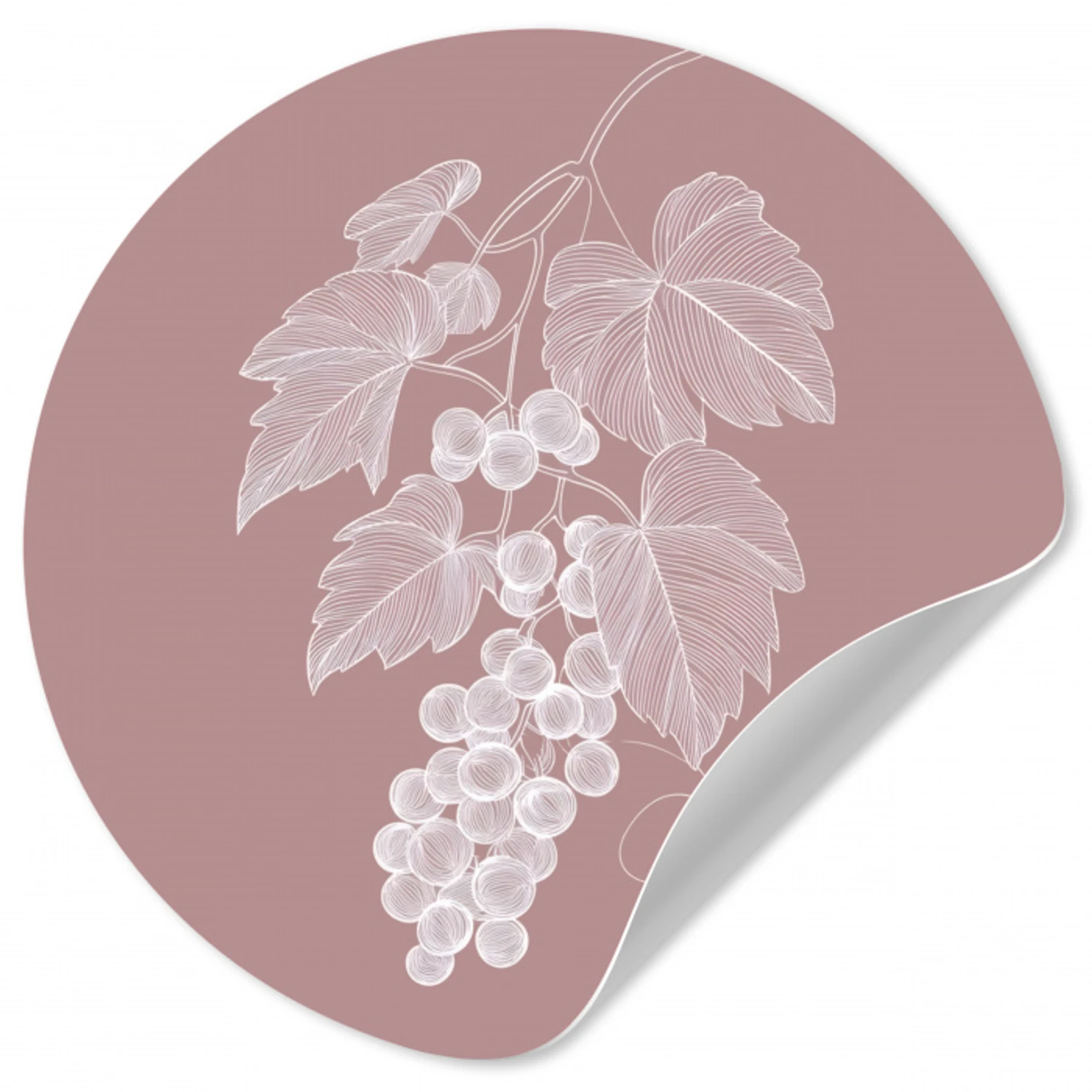 Tros - Druiven - Illustratie - Bladeren Wandcirkel behangsticker klein -3d
