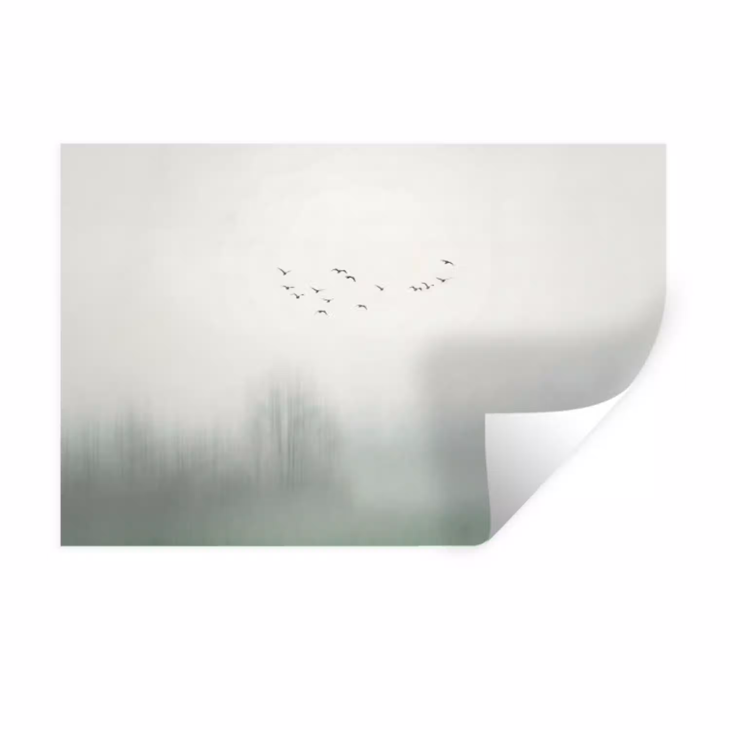 Vogel - Vlucht - Natuur - Minimalistisch Muursticker klein -3d