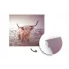 Schotse hooglanders - Licht - Lucht - Natuur fotobehang vinyl groot -3d