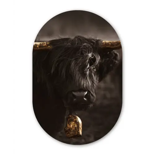 Schotse hooglander - Goud - Koebel - Hoorns - Dieren Wandcirkel Ovaal Forex klein -3d