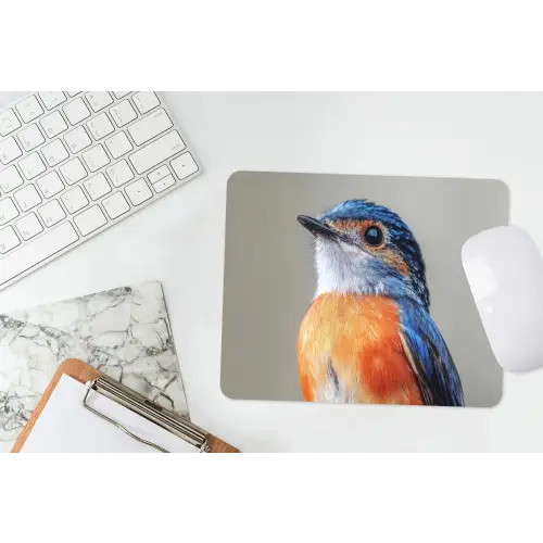 Kleurrijk - Vogeltje - Veren - Blauw muismat rubber klein -witbureau