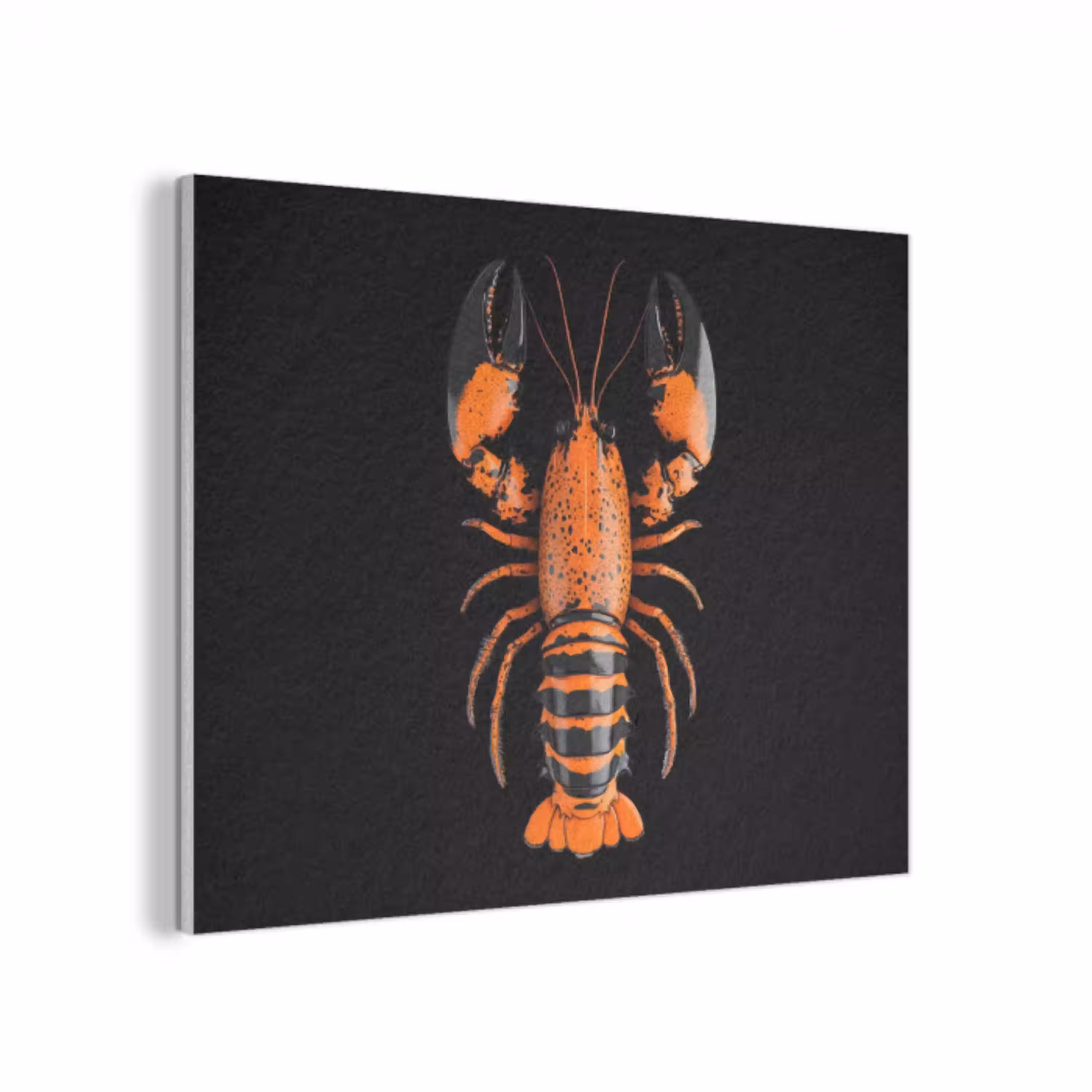 Kreeft - Oranje - Zwart - Modern PET vilt klein -3d