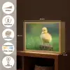 Kuiken - Eend - Geel - Gras Light Box met batterij (Wandlamp) middel -USP_websiteoverzichtNL