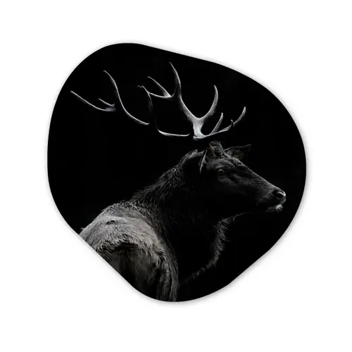 Hert - Zwart - Portret - Gewei - Dieren Wandcirkel Organisch Forex 3mm klein -3d