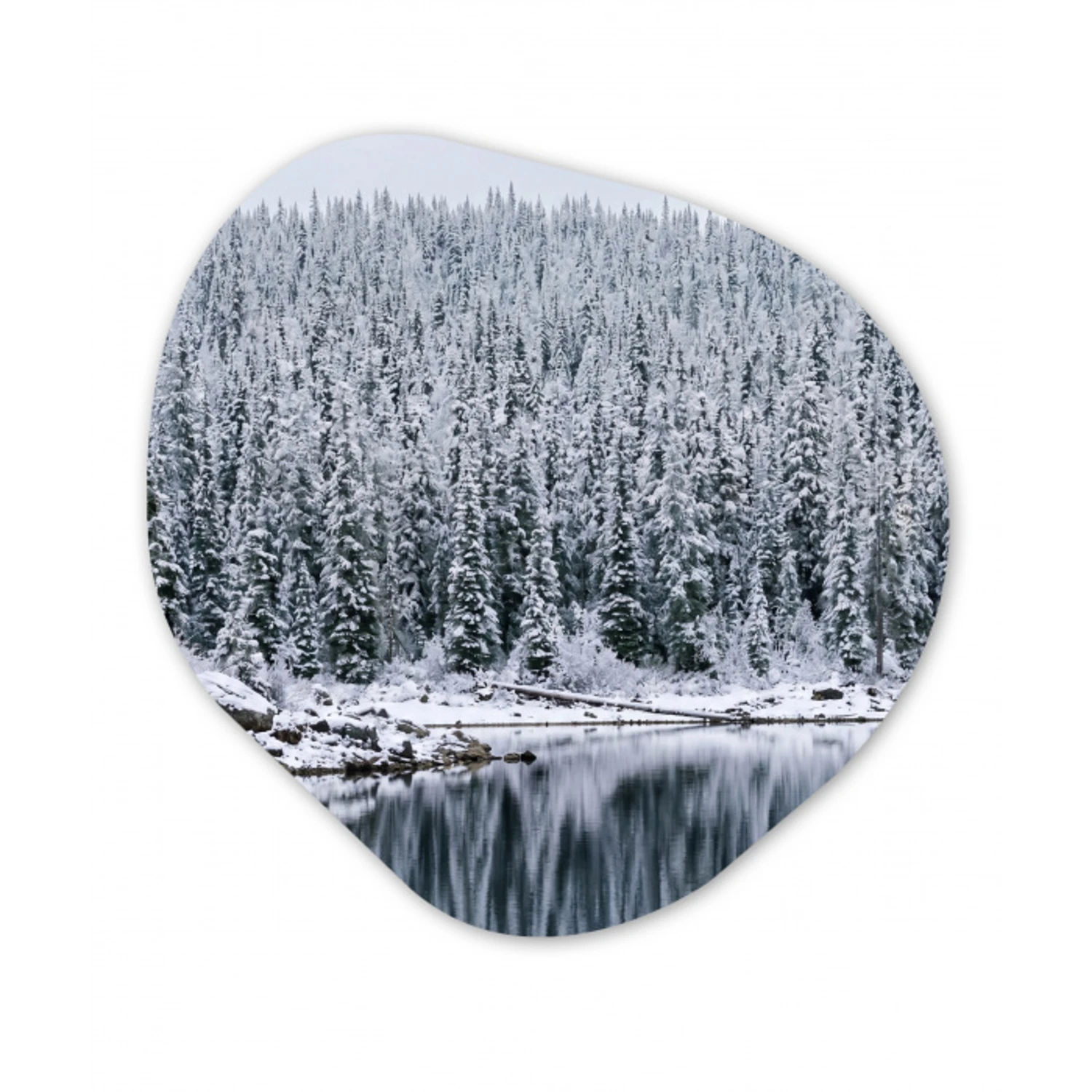 Bos - Reflectie - Meer - Winter - Serene Wandcirkel Organisch Aluminium middel -3d