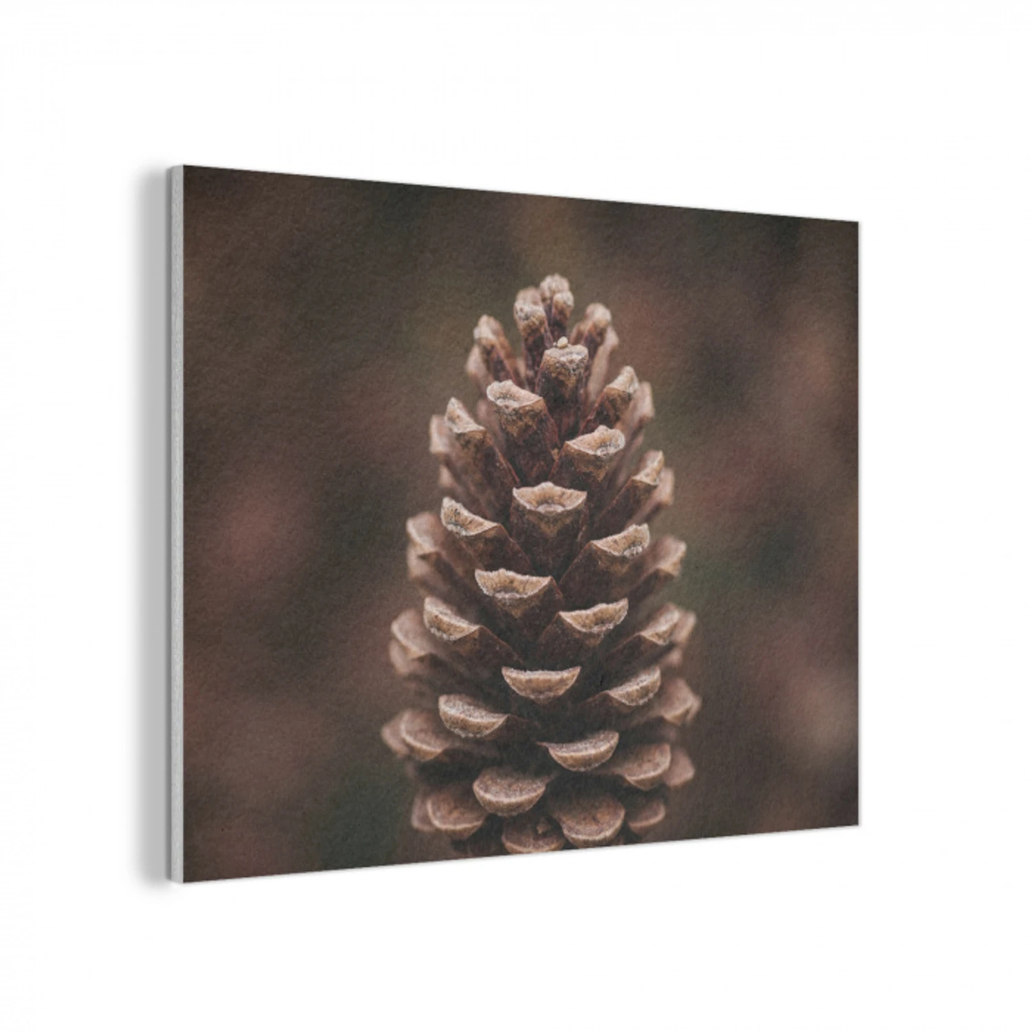 Dennenappel - Bos - Herfst - Bruin - Sfeervol PET vilt klein -3d