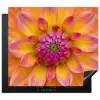 Dahlia - Bloem - Oranje Inductie beschermer vinyl 3mm middel -3d