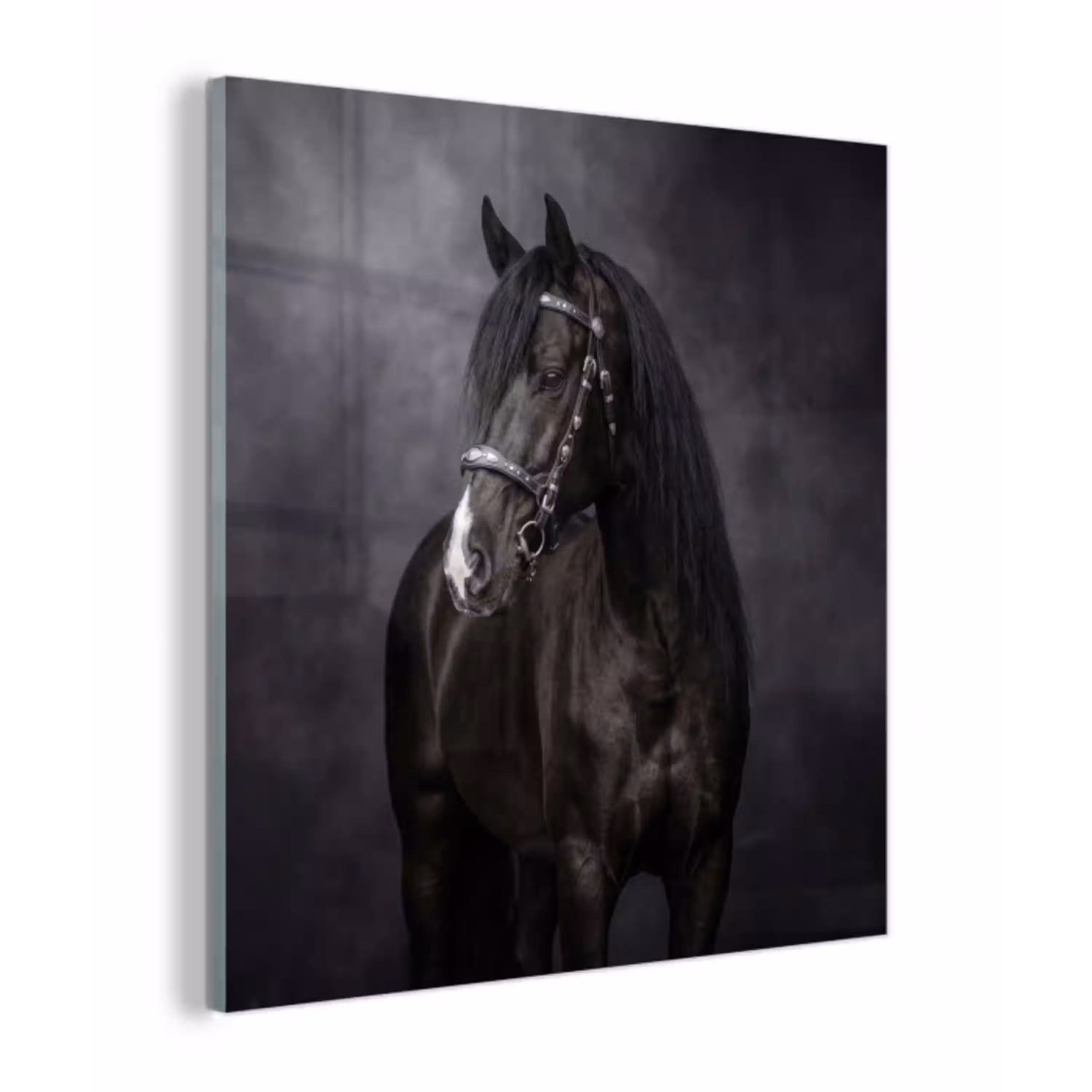 Portret - Paard - Zwart plexiglas 5mm klein -z3d