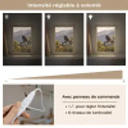 Zeearend - Boom - Bergen - Groen Light Box met kabel (Kinderlampje) klein -USP_dimbaarFR