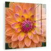 Dahlia - Bloem - Oranje plexiglas 5mm klein -zzzproduct_nieuw