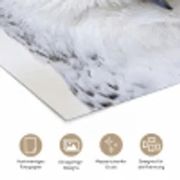 Sneeuwuil - Oog - Wildlife - Wit poster papier klein -tcloseup_DE