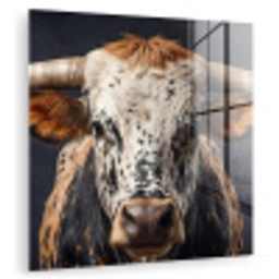 Stier - Kleurrijk - Hoorns plexiglas 5mm klein -zzzproduct_nieuw