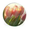 Tulpen - Roze - Zonnestralen Wandcirkel aluminium klein -3d