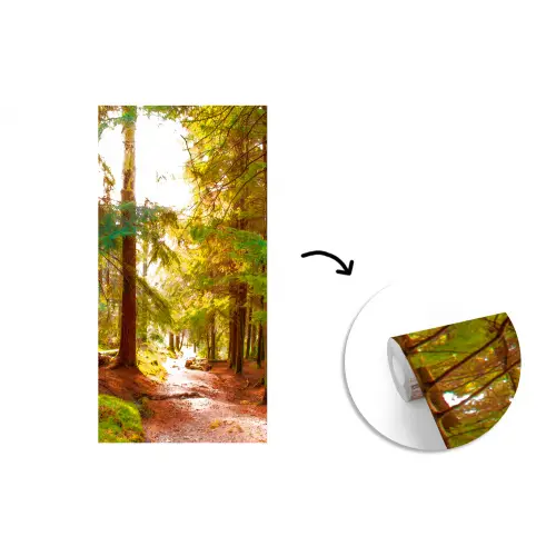 Bos - Pad - Bomen - Groen - Zon - Natuur fotobehang vinyl groot -3d