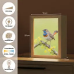 Vogel - Tak - Natuur - Kleurrijk Light Box met kabel (Kinderlampje) klein -USP_websiteoverzichtDE
