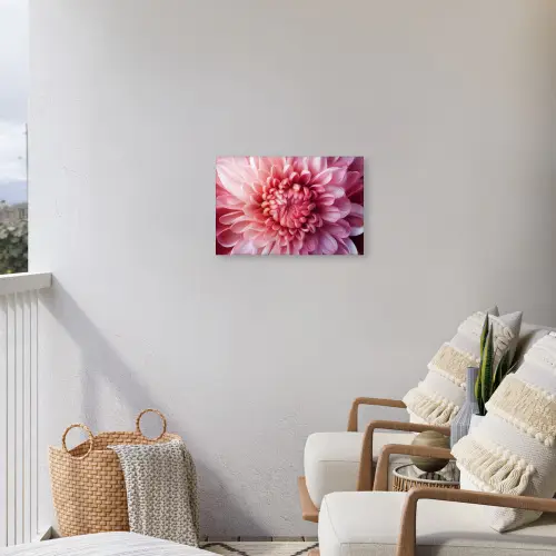Dahlia - Bloem - Close up - Roze Tuinposter op houten frame 2 cm dik klein -sfeer1