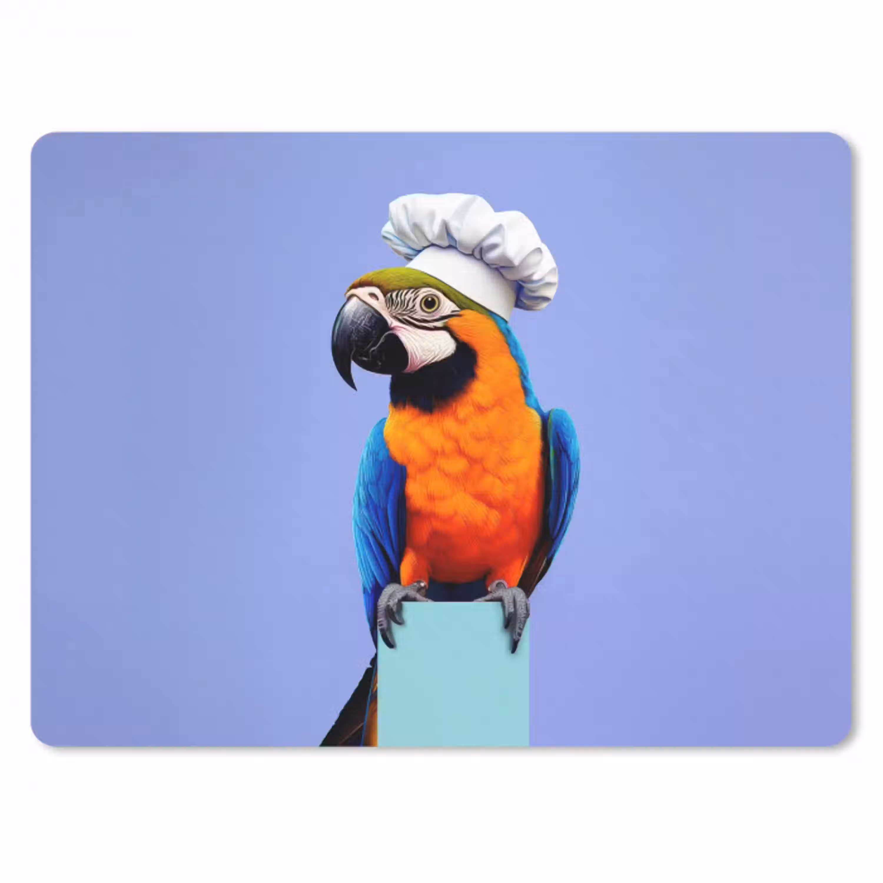 Papegaai - Koksmuts - Vogel - Leuk muismat rubber klein -3d
