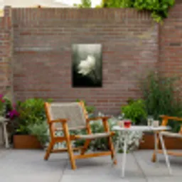 Wit - Lotus - Donker - Bloem Tuinposter op houten frame 2 cm dik klein -sfeer3