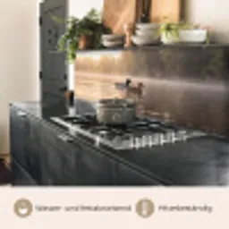 Eenden - Water - Mist - Natuur keuken achterwand 2 middel -usp_DE