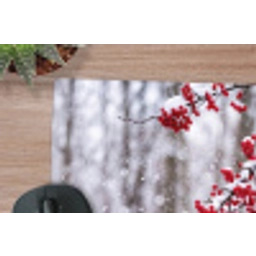 Bessen - Takken - Sneeuw - Winter - Kleurrijk muismat rubber klein -closeup