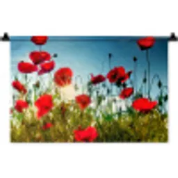 Klaprozen - Toscane - Zon - Rood - Blauw Wandkleed katoen klein -zz3d