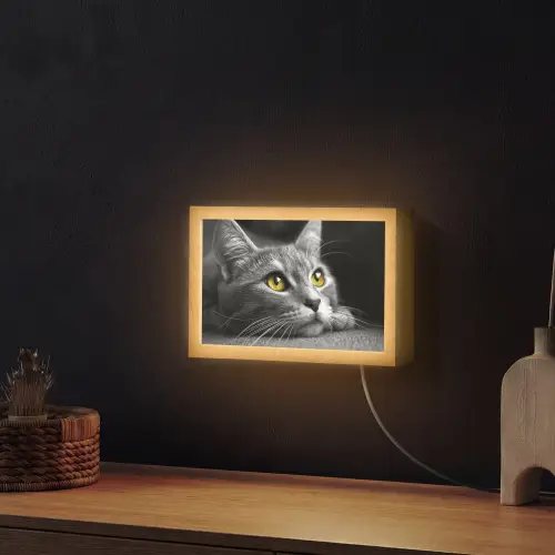 Kat - Zwart - Wit - Dieren - Natuur Light Box met kabel (Wandlamp) klein -sfeer1