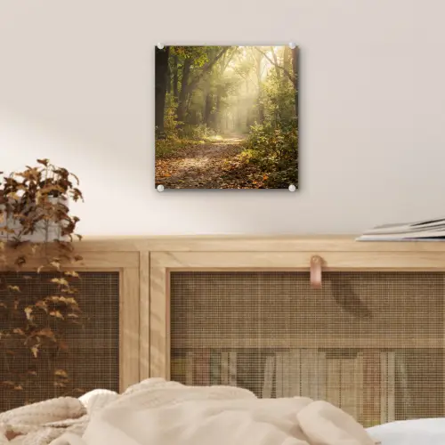 Zonlicht - Bospad - Bomen plexiglas 5mm klein -sfeer4