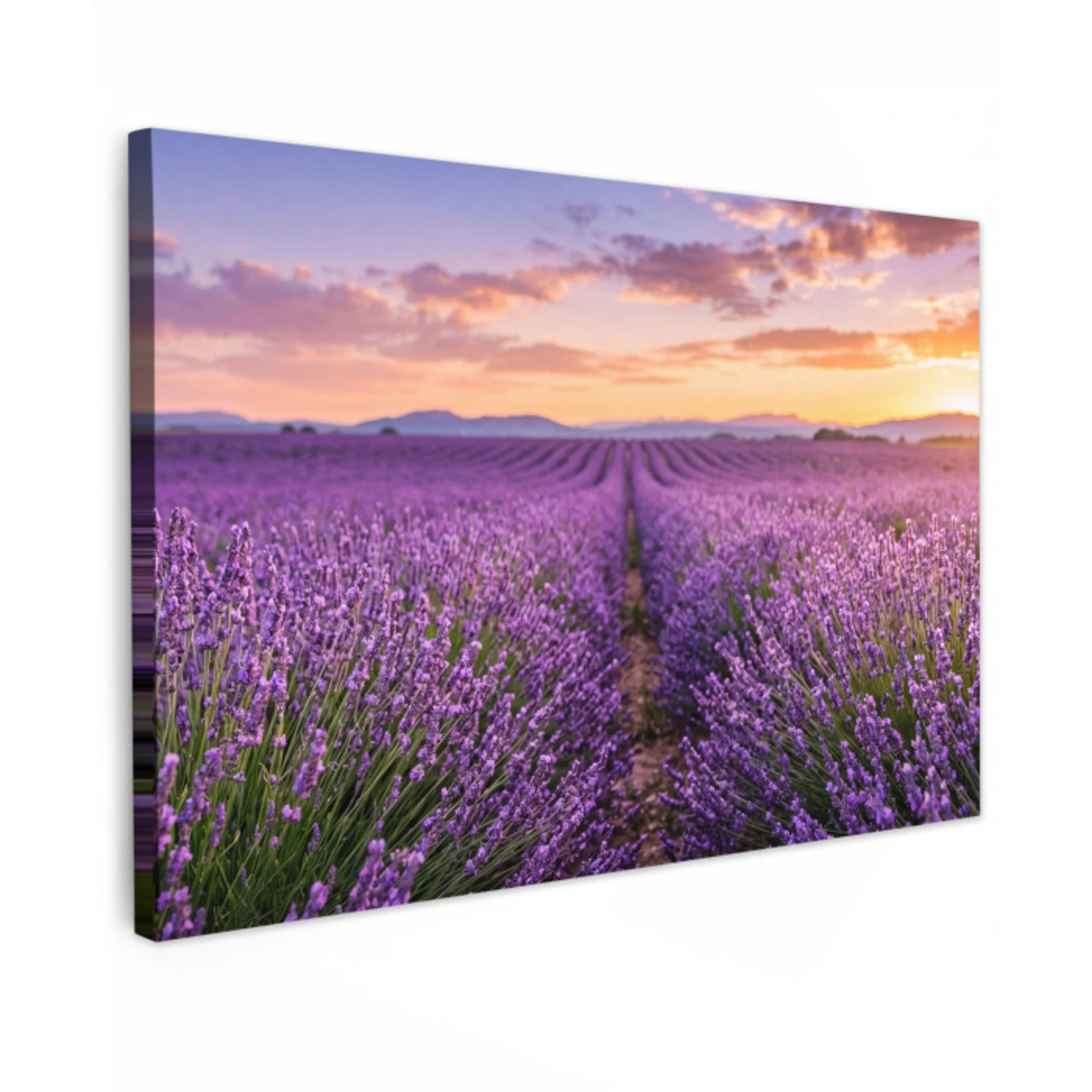 Lavendel - Veld - Natuur - Paars canvas 2cm klein -z3d