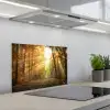 Bos - Herfst - Zon - Landschap - Natuur - Bomen - Bladeren keuken achterwand spatscherm klein -3d_schuin