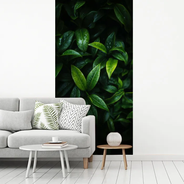 Bladeren - Regendruppels - Licht - Groen fotobehang vinyl groot -woonkamer