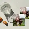 Bieten - Vers - Moestuin onderzetter kurk middel -sfeer4
