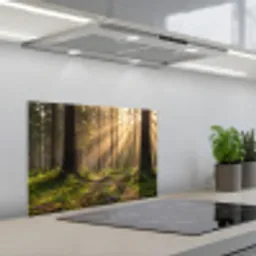 Bos - Zonlicht - Gras keuken achterwand spatscherm klein -3d_schuin