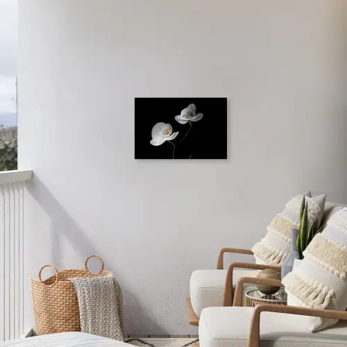 Orchidee - Bloemen - Zwart - Wit - Stilleven Tuinposter op houten frame 2 cm dik klein -sfeer1