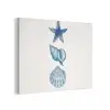 Zeester - Schelpen - Blauw PET vilt klein -3d