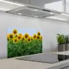 Zonnebloemen - Geel - Natuur keuken achterwand spatscherm klein -3d_schuin