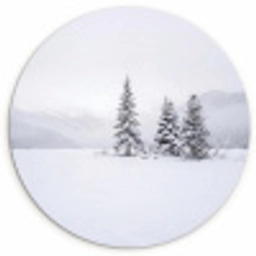 Fijnsparren - Sneeuw - Winter - Landschap - Stilte Wandcirkel kunststof plaat 5mm dik klein -3d
