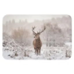 Edelhert - Bos - Sneeuw - Winter - Majestueus Badmat klein -3d