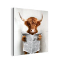 Schotse Hooglander - Dier - Krant - Toilet aluminium wit klein -3d