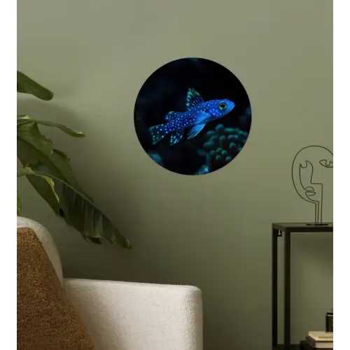 Vis - Stippen - Koraal - Blauw Wandcirkel behangsticker klein -sfeer2