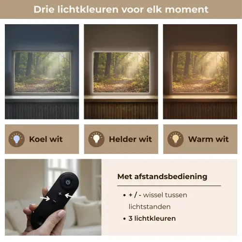 Zonlicht - Bospad - Bomen Light Box met batterij (Wandlamp) middel -USP_lichtkleurNL