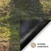 Bos - Zonlicht - Gras Deurmat klein -antislip_NL