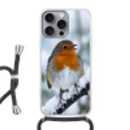 Roodborstje - Tak - Sneeuw - Winter - Levendig Hoesje iPhone 16 Pro Max met koord klein -3d