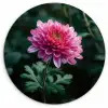 Blad - Chrysant - Roze - Schaduw Wandcirkel kunststof plaat 5mm dik klein -3d